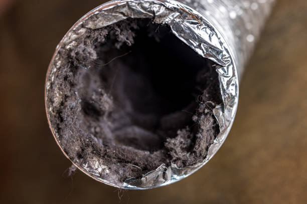 Best Duct Cleaning for Offices  in Spring, TX